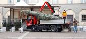 Un albero di Natale per Montenero