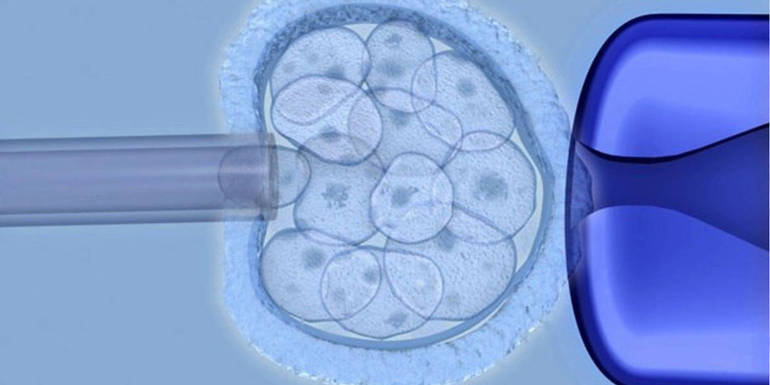 Cellule embrionali sul chip? Il problema etico resta